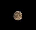 FullMoon-CR copy.jpg (138996 bytes)