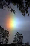SUNDOG-LR.jpg (84287 bytes)